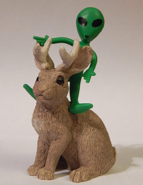conalope1